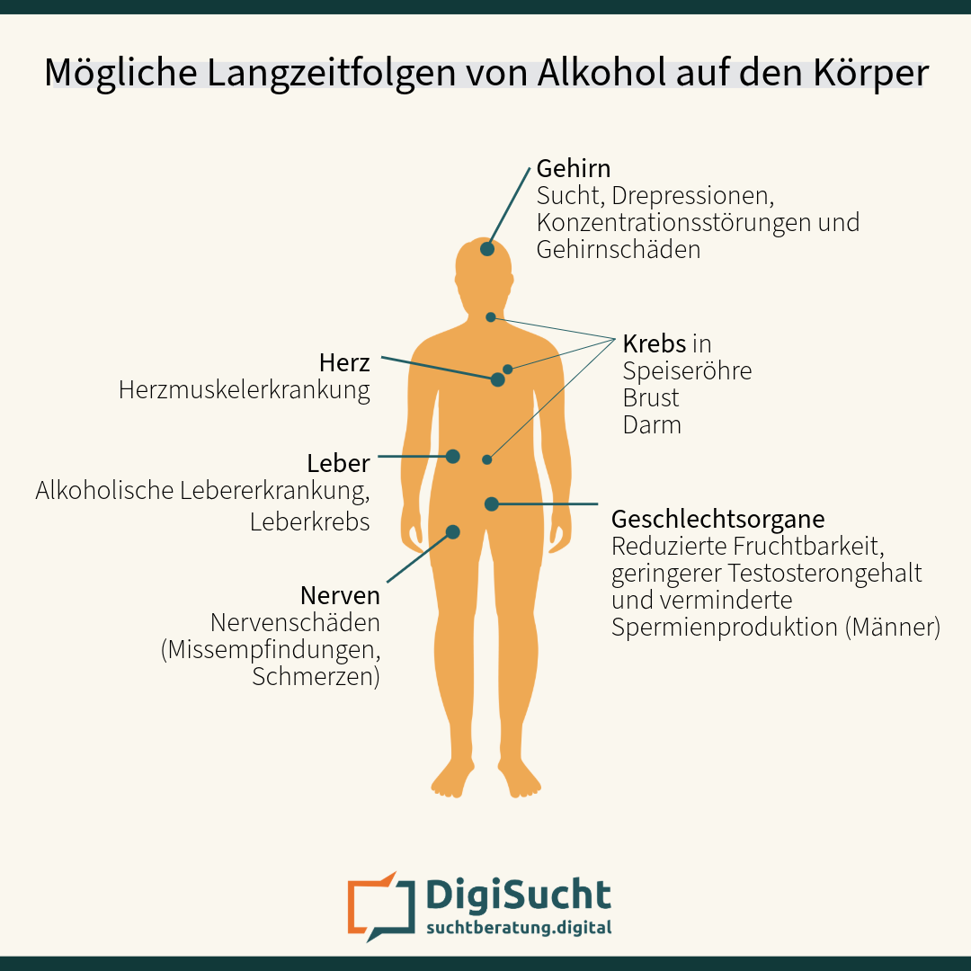 Infografik zu möglichen Langzeitfolgen von Alkohol für verschiedene Organe wie Gehirn, Herz, Leber und Nerven
